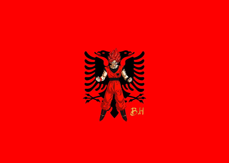 Albania, albanian, albanianboy, albaniangirl, dragonball, goku, saiyan, shqiptar, ssj, vegeta, HD wallpaper