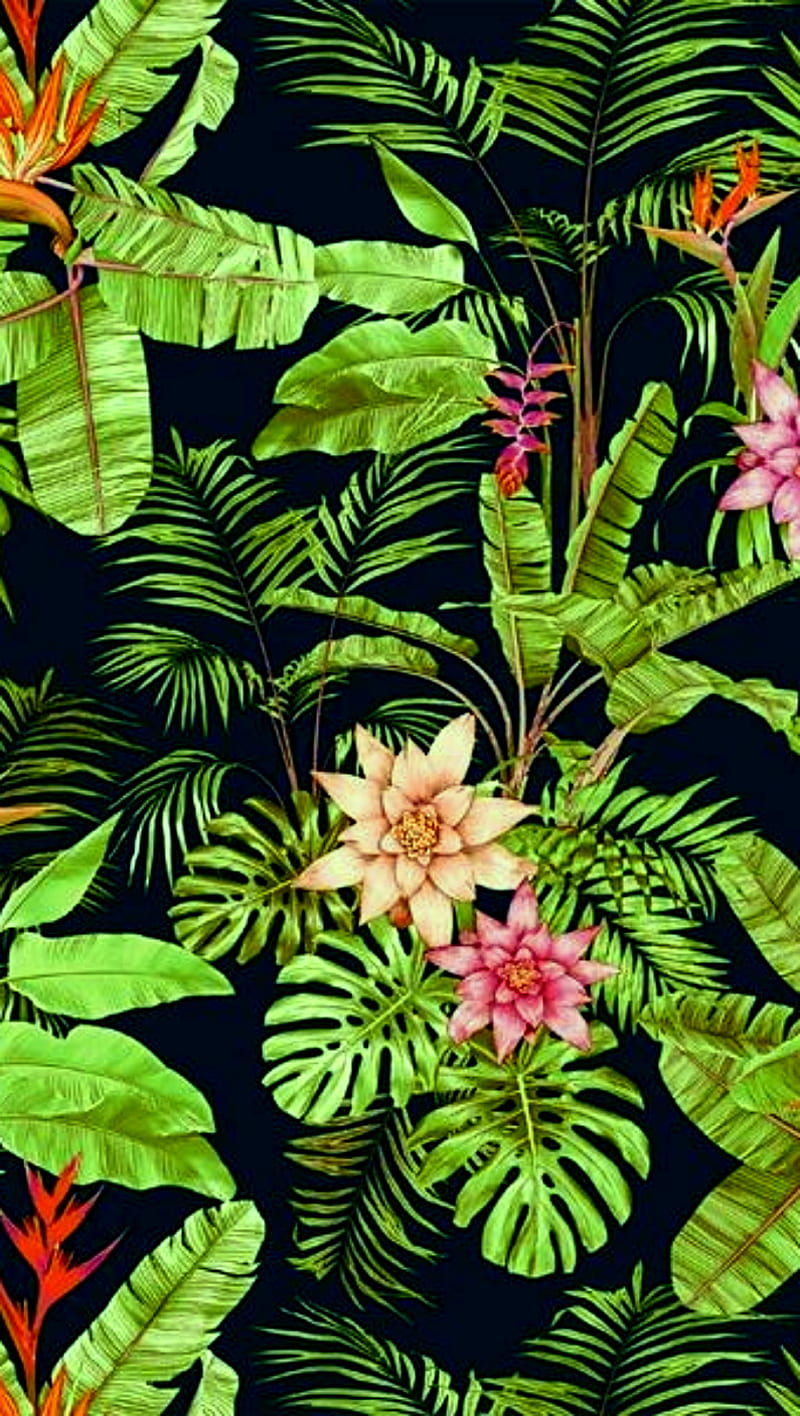 flowers, fondo plantas, rosas, selva, verde, HD phone wallpaper