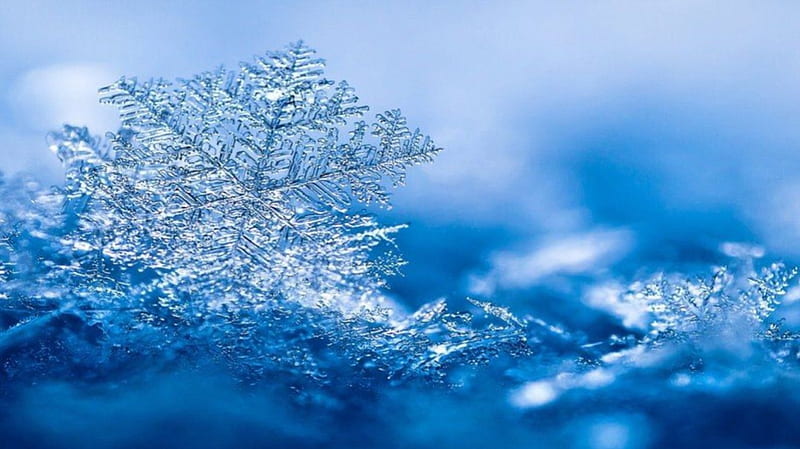 Snowflakes snoflakes, abstract, winter, graphy, snow macro, ice, nature, blue, HD wallpaper
