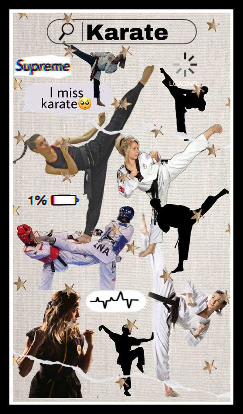 Karate girl . Karate, Martial arts quotes, Karate girl, HD phone wallpaper