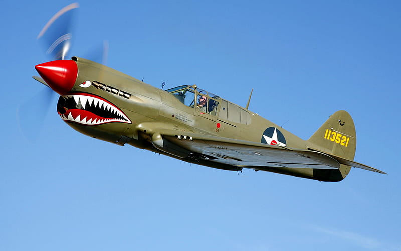P-40 Warhawk, warhawk, ww2, p-40, tigers, airplane, plane, kittyhawk, wwii, flying, p40, curtiss, HD wallpaper