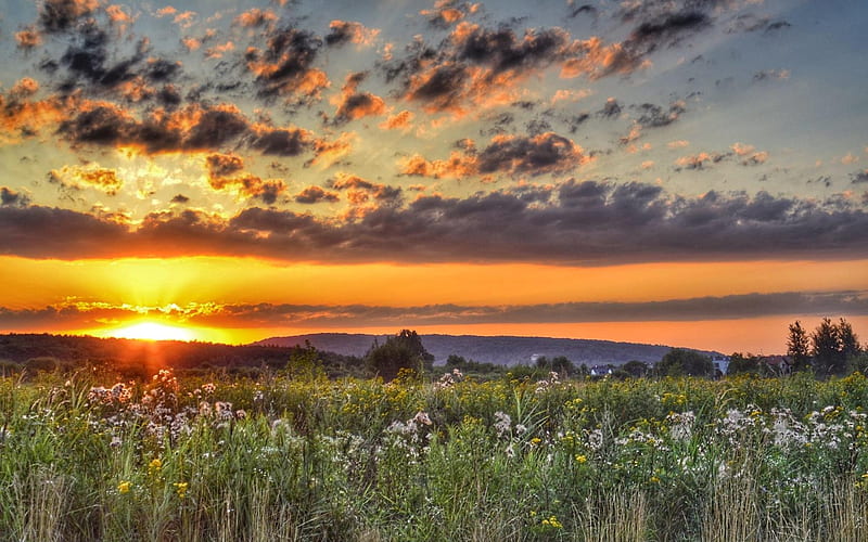 Sunset in Poland, Poland, sunset, clouds, meadow, landscape, HD ...