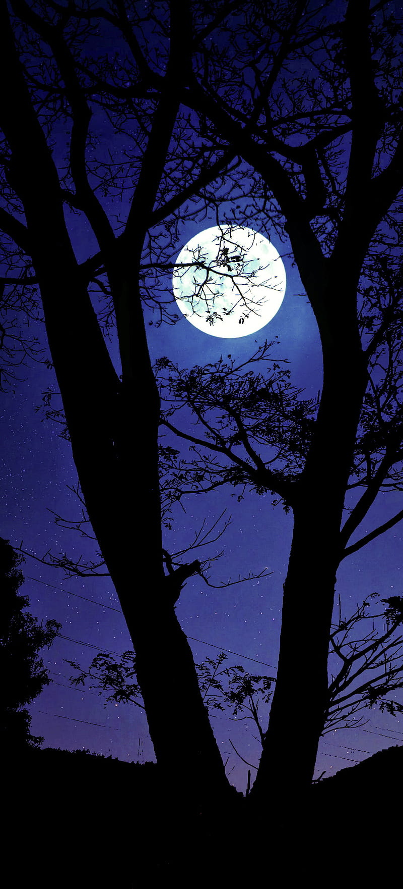 Aesthetic night sky background, moon | Premium Vector Illustration -  rawpixel