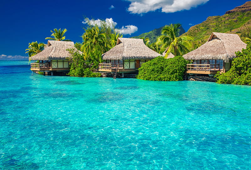 Maldives paradise, breeze, bonito, villa, sea, reflection, tropics, blue, rest, vacation, exotic, Maldives, ocean, place, palms, water, paradise, summer, tropical, HD wallpaper