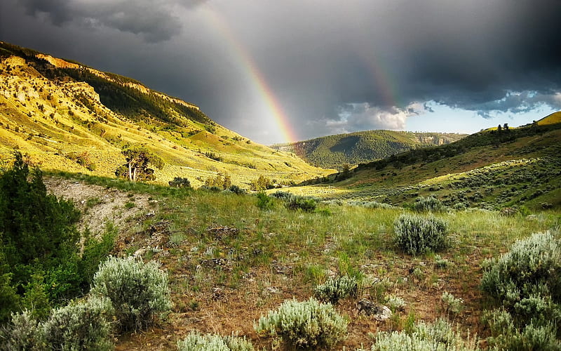Rainbow in Yellowstone, USA, rainbow, America, Yellowstone, national park, HD wallpaper