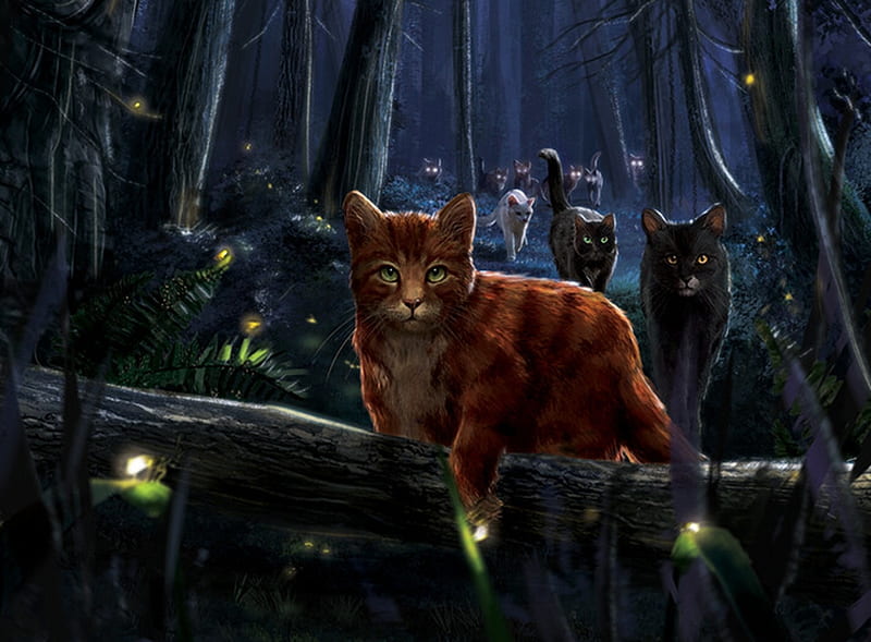 Road to target, joanna mosinska, forest, fantasy, dark, war cats, cat, pisici, night, HD wallpaper