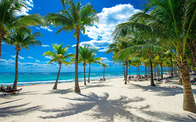 beach, ocean, palm trees, Seychelles, tropical island, HD wallpaper