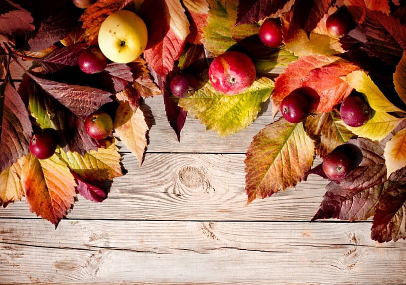 Autumn, harvest, leaves, apples, wood, HD wallpaper
