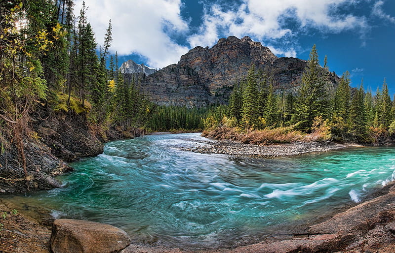 Mountain Creek, Canada, forest, turquoise, water, mountains, summer, river, Banff National Park, landscape, HD wallpaper