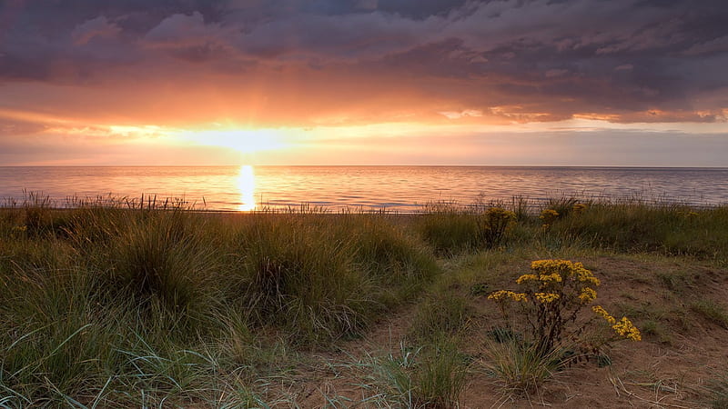 amazing beach in norfolk england, beach, grass, sunset, clouds, sea, HD wallpaper