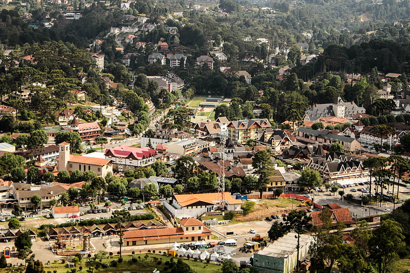 aerial view of houses and trees, HD wallpaper