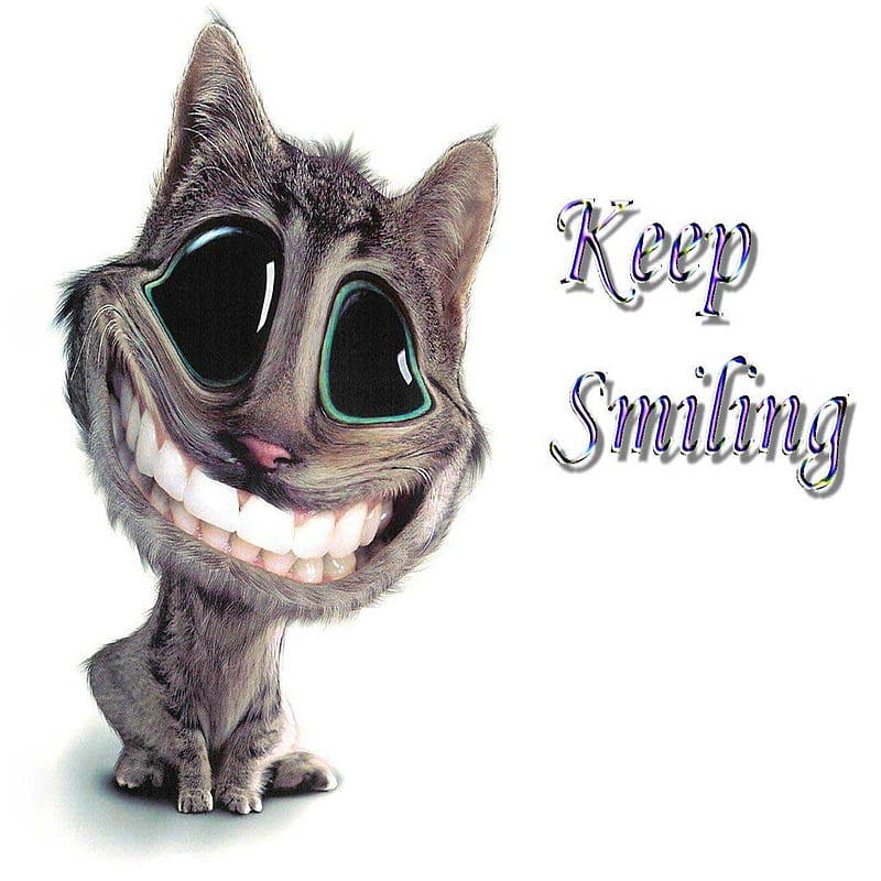 Keep Smiling, funny, other, HD phone wallpaper