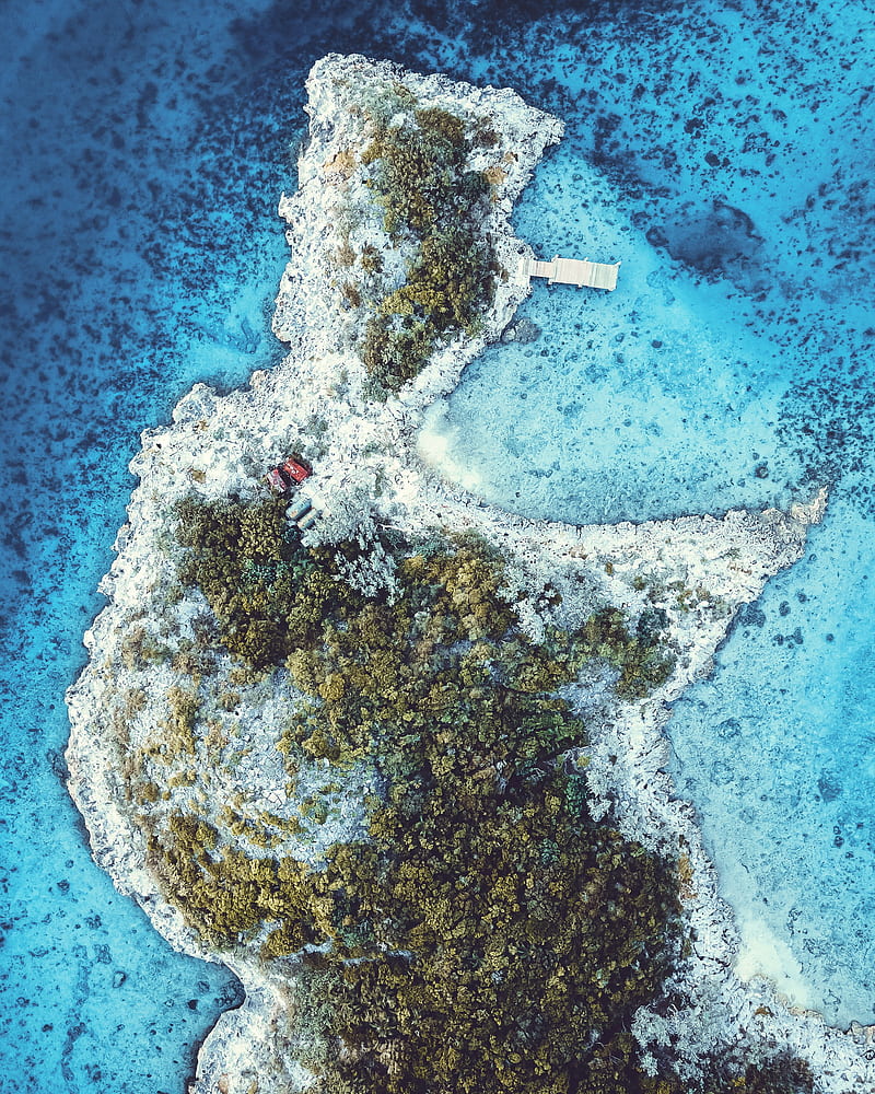 island, sea, trees, aerial view, HD phone wallpaper