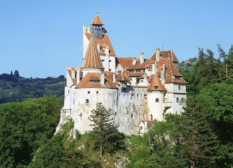 Bran Castle ~ Romania, forest, bran castle, roof, romania, medieval style, sky, tree, green, white, blue, HD wallpaper