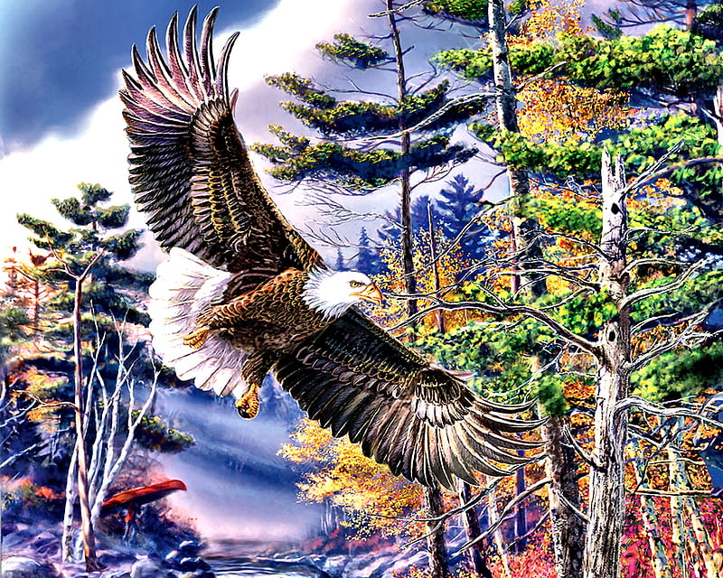 Boundary Water - Eagle, art, bonito, illustration, artwork, animal, bird, avian, painting, wide screen, wildlife, nature, raptor, HD wallpaper