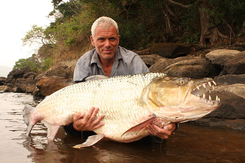 River Monsters, monsters, television, tv, fish, HD wallpaper