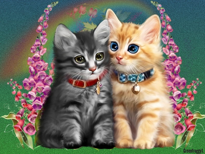 CUTE FRIENDS, CUTE, FRIENDS, KITTENS, HD wallpaper