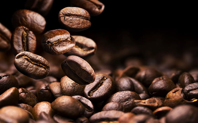Coffee beans, background with coffee, falling coffee grains, coffee concepts, coffee background, HD wallpaper