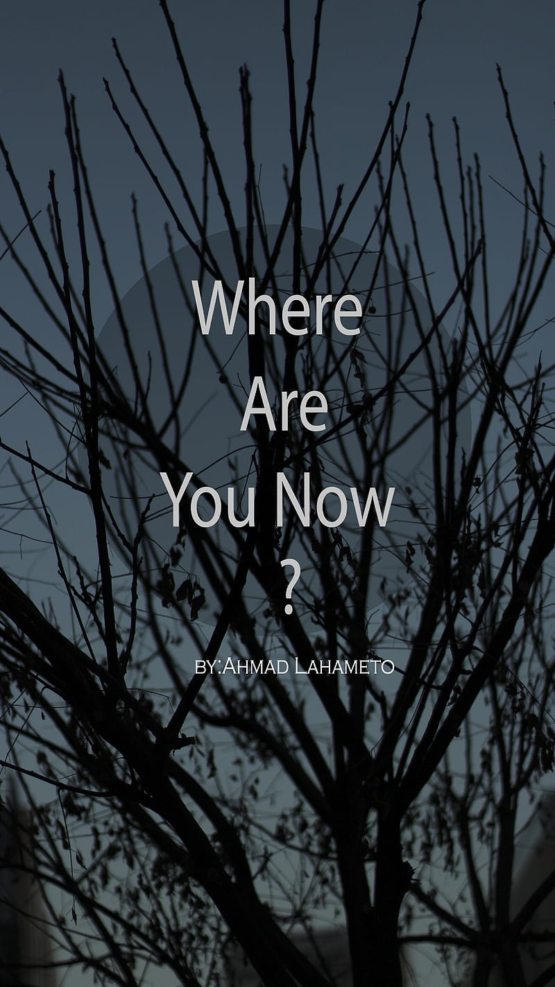 where are you now, amazing, love, music, saying, HD phone wallpaper
