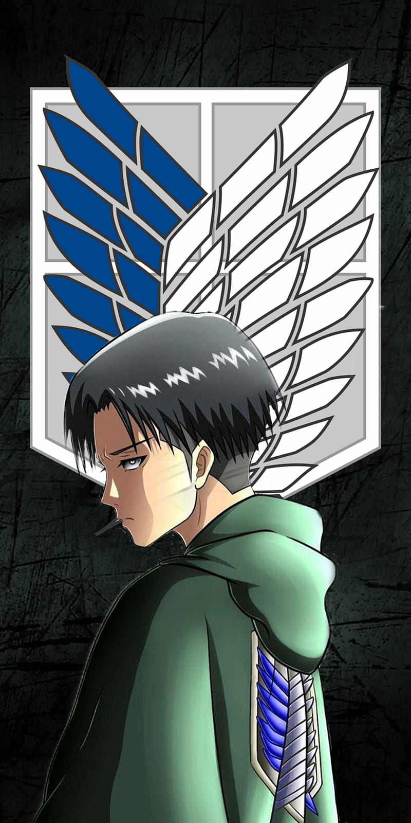 Attack on titan levi, attack on titan, sword, HD phone wallpaper