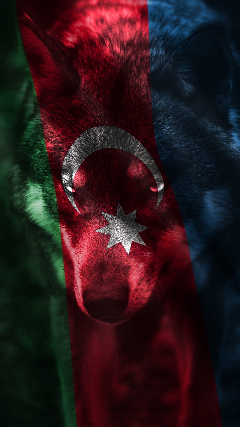 AZERBAIJAN FLAG, azerbaycan, flag, bayraq, bozqurd, kurt, wolf, HD phone wallpaper