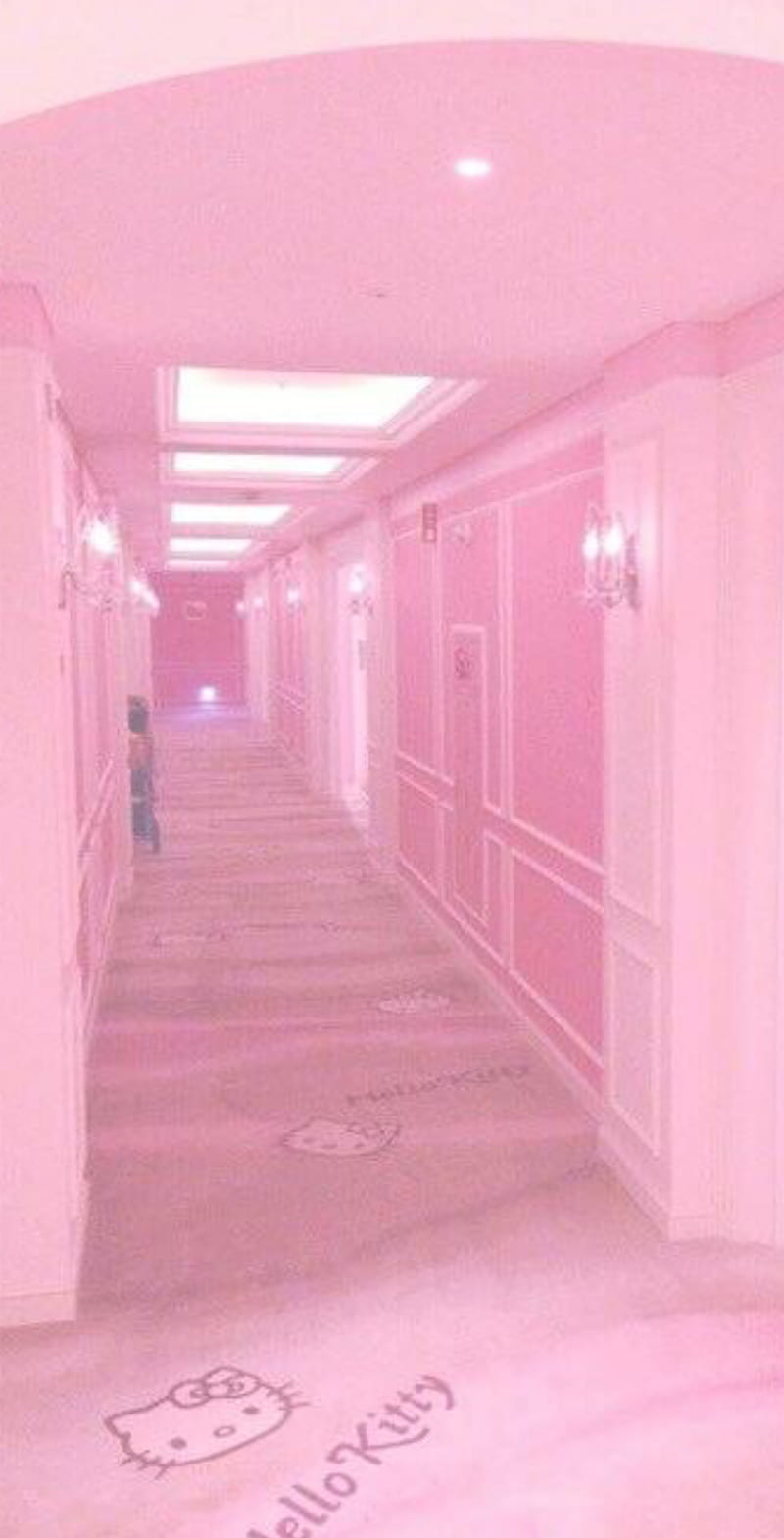 Pink aesthetic 4, cute, glitch, hallway, hello kitty, lockscreen