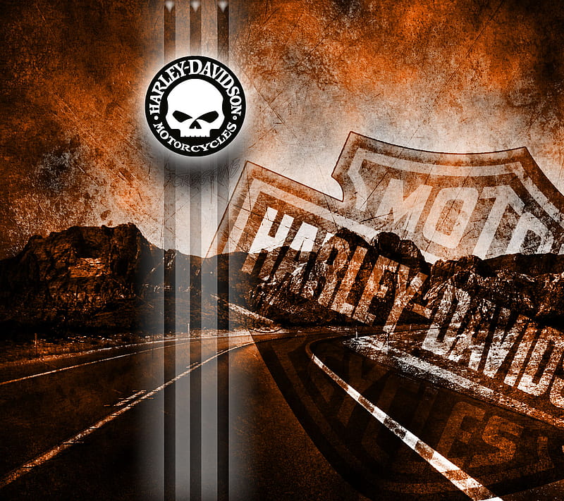 Open Road, biker, davidson, harley, motorcycle, orange, skull, HD wallpaper