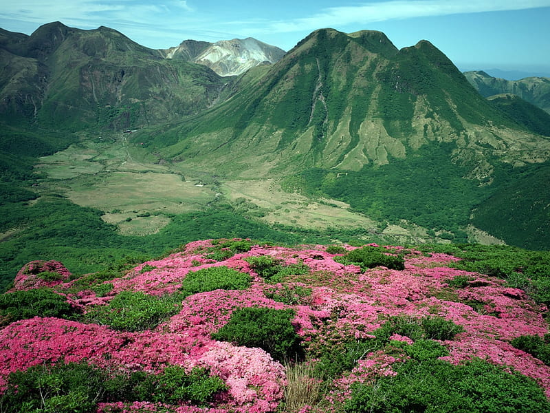 MONTANA PRIMAVERAL, primaveral, green, mountains, pinks, state, HD wallpaper