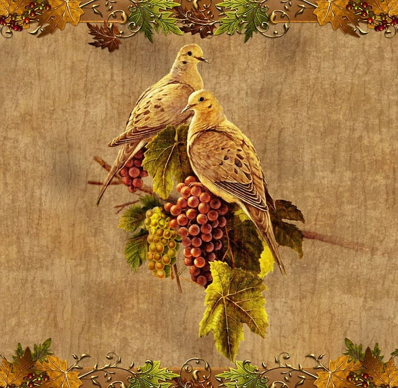 *Autumnal doves*, fall, autumn, frame, welcome, birds, seasons, grapes, autumnal, leaves, doves, two, HD wallpaper
