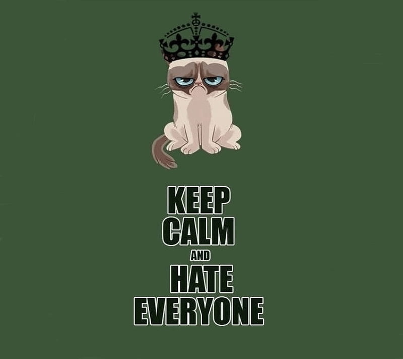 keep calm, angry cat, cool, HD wallpaper