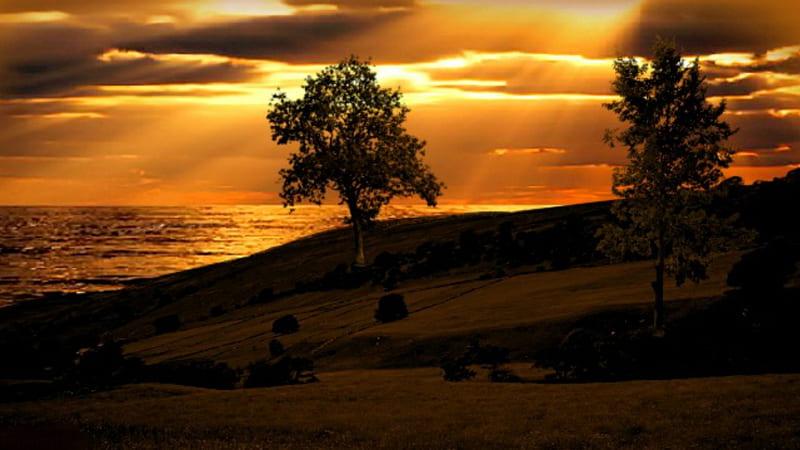 ~*~ Beautiful Sunset ~*~, sunset sea, sunset montains, sunset, sunset trees, HD wallpaper