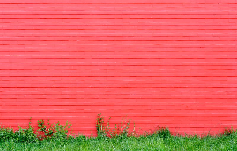 wall, grass, pink, bricks, HD wallpaper