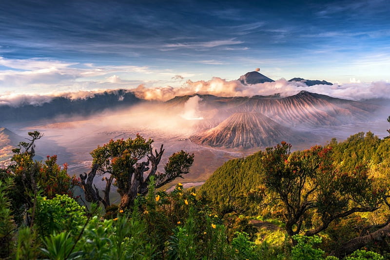 Heaven, National Park, morning view, bonito, sky, clouds, volcano, foliage, mountains, Indonesia, wildflowers, Mount Bromo, sunrise, HD wallpaper