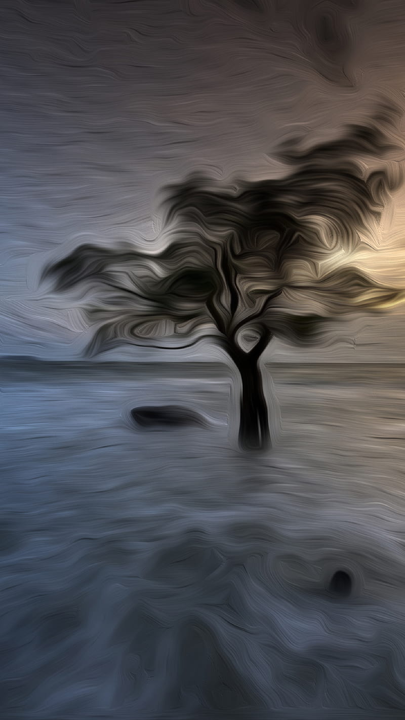 Trees Mangrove Sunset, Stoche, HD phone wallpaper
