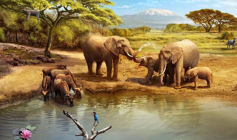 Watering Hole, Hole, lake, elephant, Watering, HD wallpaper Watering Hole, Hole, lake, elephant, Watering, HD wallpaper