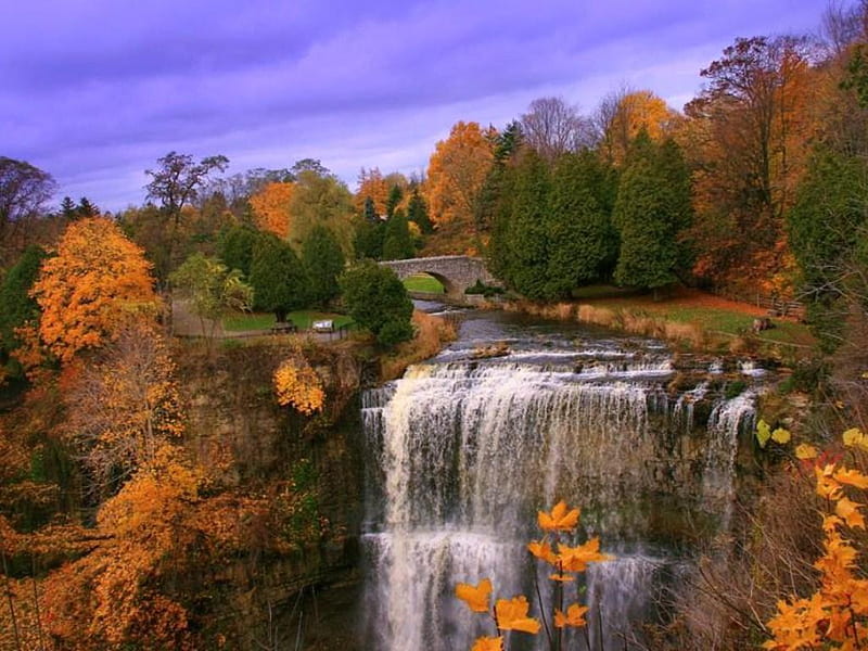 Waterfall, Hamilton, Ontario, Dundas-City, Canada., fall, autumn, tree, bridge, waterfall, path, river, canada, HD wallpaper