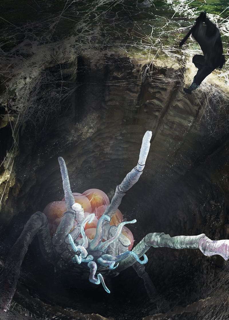 spider, cave, eggs, Guillaume Hochart, HD phone wallpaper