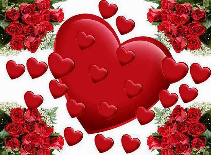 Red Hearts, valentines day, red roses, white flowers, bouquets, small, large, love, green leaves, HD wallpaper
