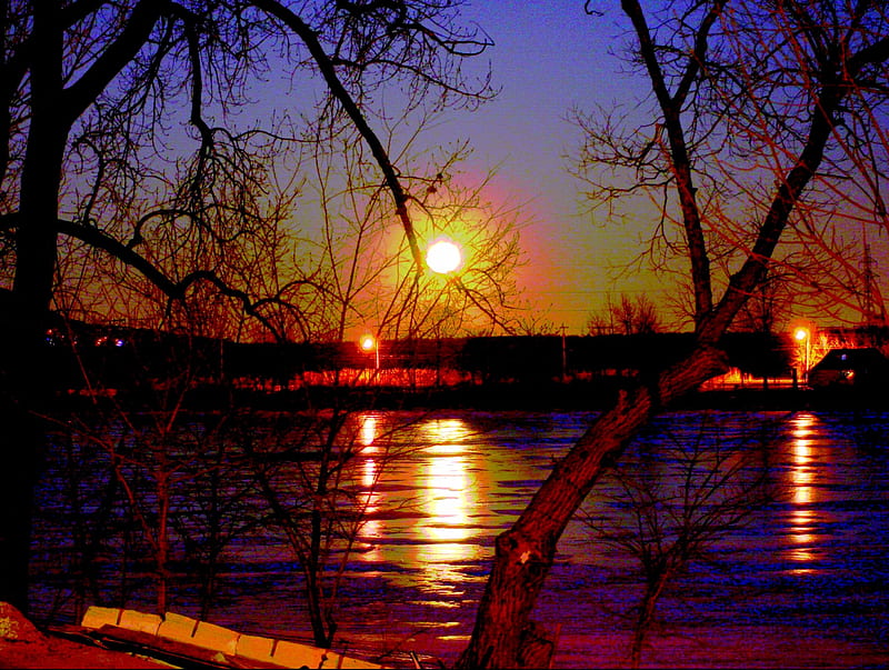 MOONLIGHT, full moon, sky, lake, night, light, HD wallpaper