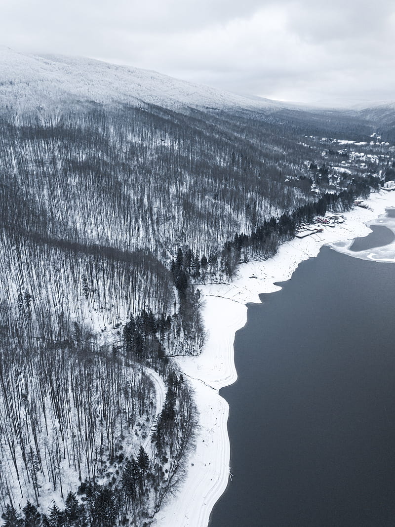 winter, forest, aerial view, shore, water, gray, HD phone wallpaper