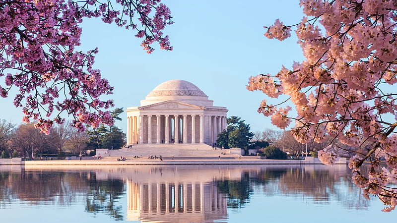 Springtime at Jefferson Memorial, cherry, Washington DC, water, usa, blossoms, sky, reflections, HD wallpaper