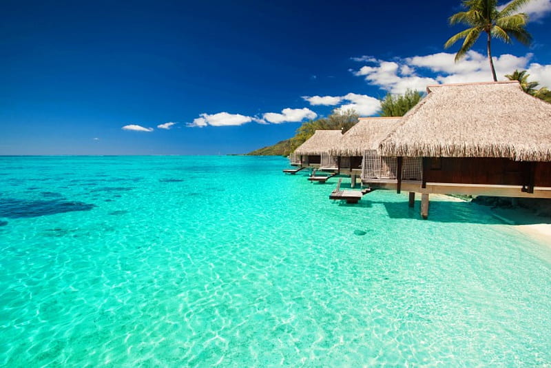 maldives bungalows, isle, shore, sun, clouds, sea, maldives, bungalows, tropic, SkyPhoenixX1, blue, huts, vacation, holiday, houses, ocean, waves, sky, trees, palms, water, paradise, summer, sunshine, island, tropical, coast, HD wallpaper