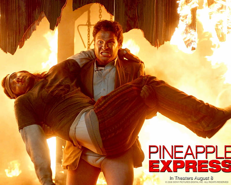 Pineapple Express, motion , movie, action, comedy, cinema, seth rogen, judd apatow, james franco, HD wallpaper
