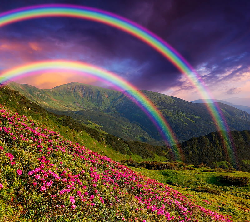 Rainbowscape, flower, landscape, mountain, rainbow, HD wallpaper