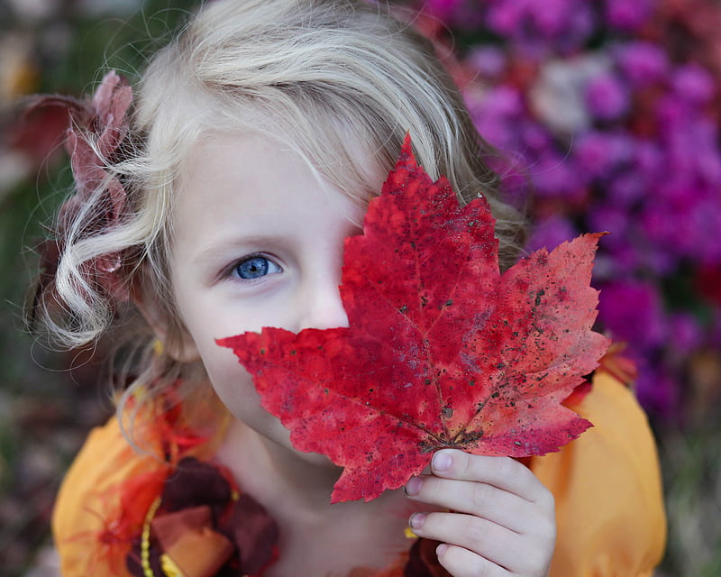 girl holding red maple leaf, HD wallpaper