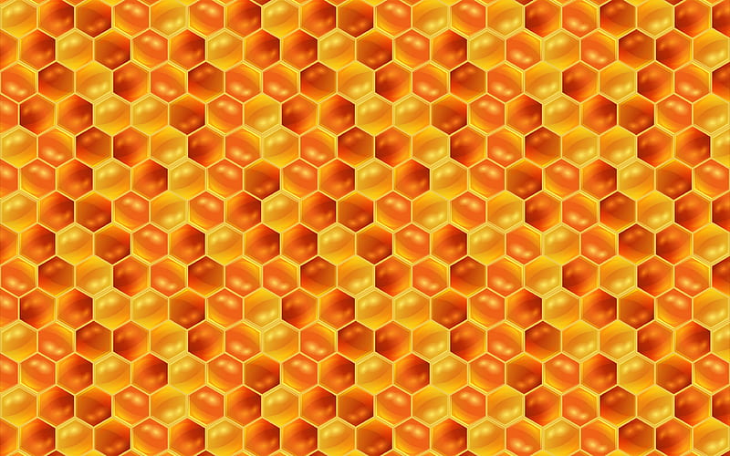 honeycomb texture food textures, honeycomb backgrounds, honey textures, honey, honeycomb, HD wallpaper