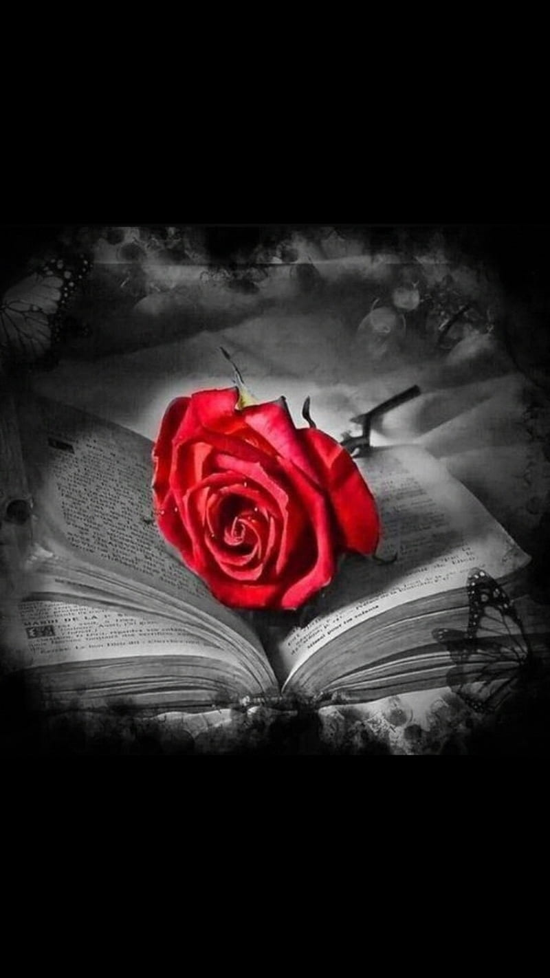 Historia de amor, libros, lindas, flores, poema de amor, poema, rojas, rosas,  Fondo de pantalla de teléfono HD | Peakpx