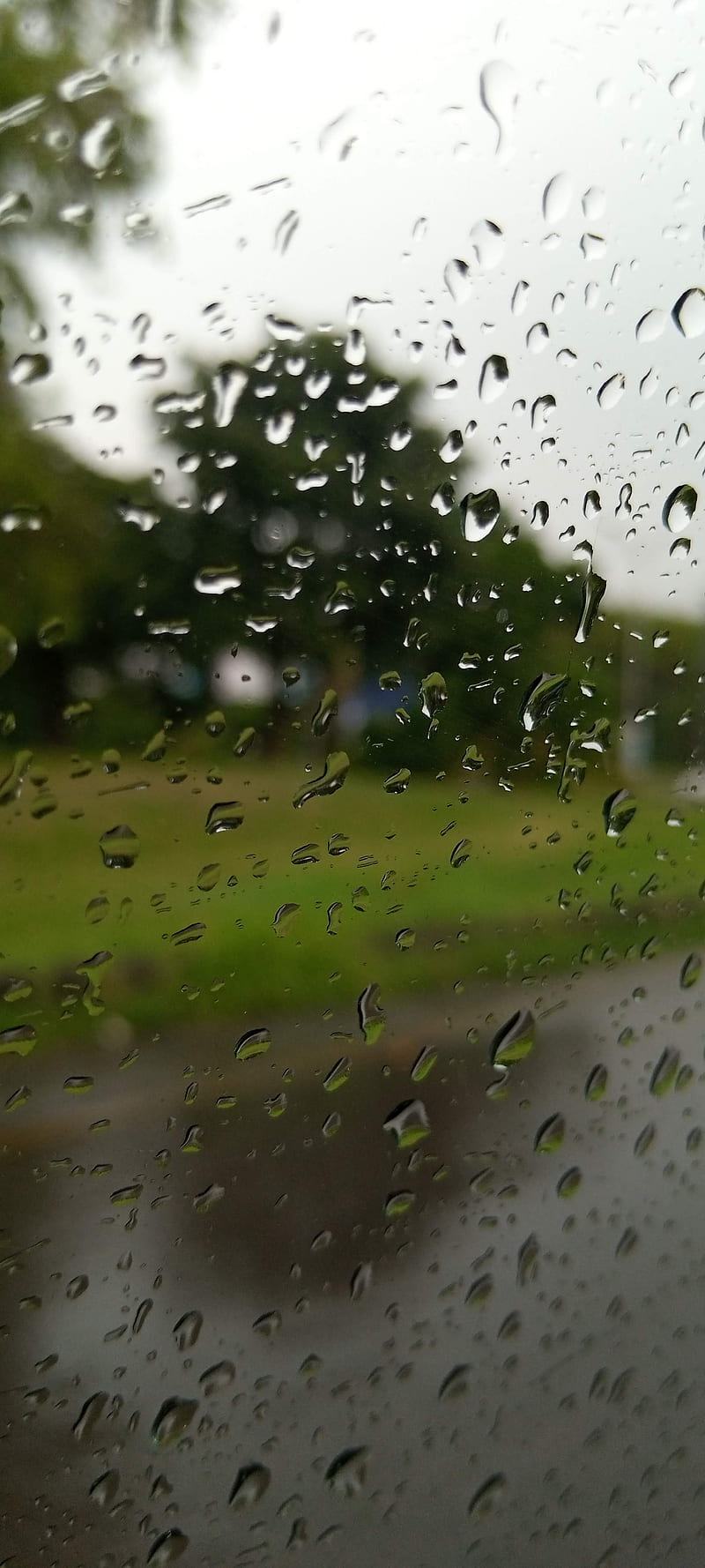 Rain drops, amazing, blur, glass, rainy, screen, silhouette, water, HD  phone wallpaper | Peakpx