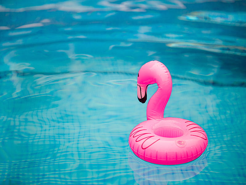 rubber ring, flamingo, pool, water, waves, HD wallpaper