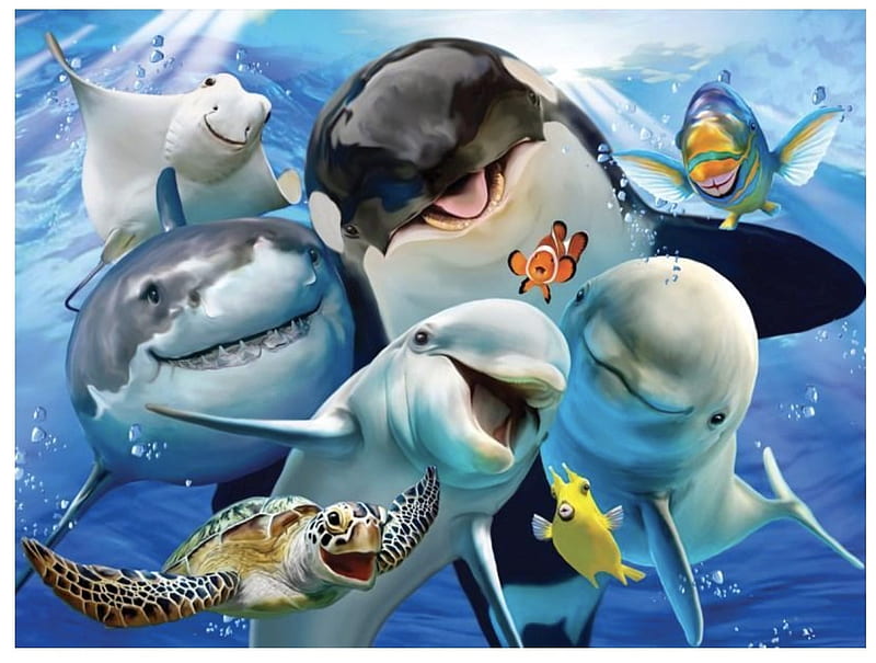 Selfie, underwater, luminos, fish, turtle, creative, shark, dolphin, fantasy, summer, funny, blue, HD wallpaper